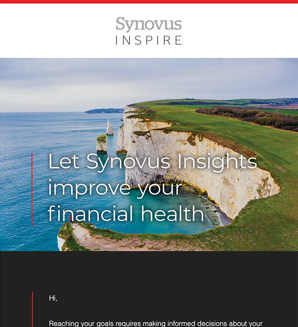 Image of Synovus Email